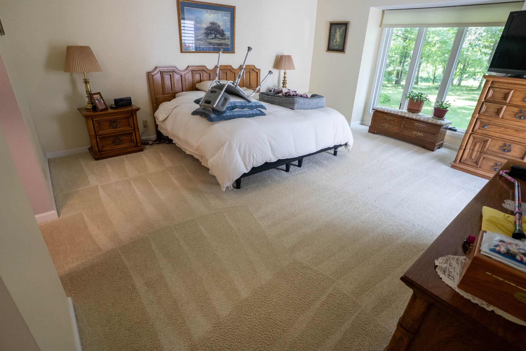 After PowerSteam carpet cleaning — visibly cleaner carpet in the same room