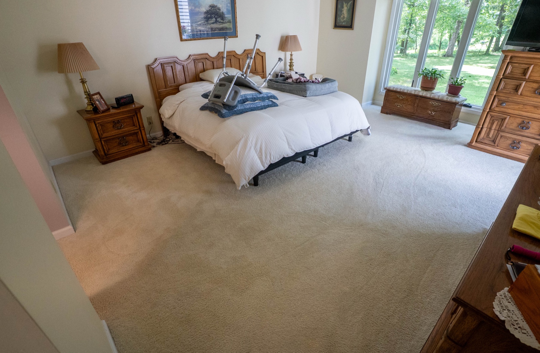 Before PowerSteam carpet cleaning — stained carpet in a customer home