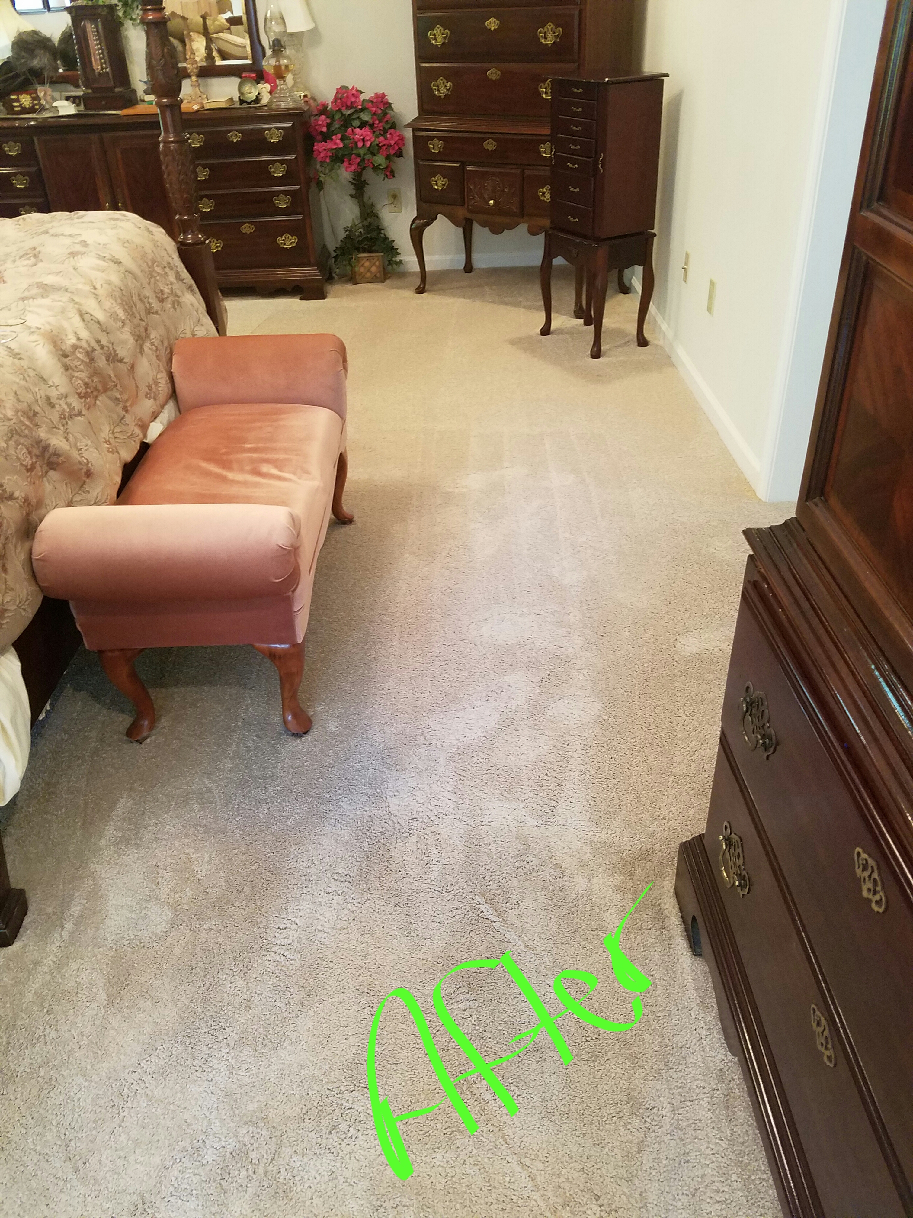 Professional steam cleaning service in a modern home