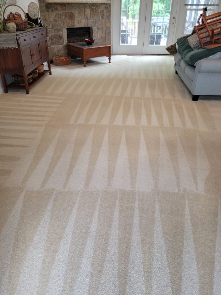 Professional carpet steam cleaning
